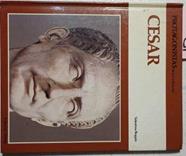 César | 64154 | Beggio Valentina