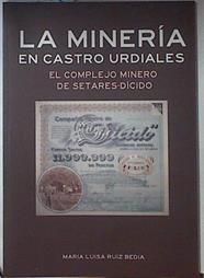 La Minería en Castro Urdiales  el complejo minero de Setares-Dícido | 71882 | Ruiz Bedia, María Luisa