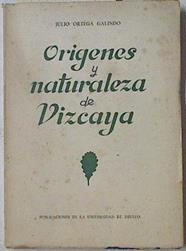 Ensayo sobre los Origenes y Naturaleza de Vizcaya | 125823 | Ortega Galindo, Julio