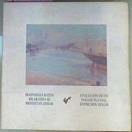 Evolución de un paisaje fluvial entre dos siglos. Ibaipaisaia baten bilakaera bi mendetan zehar | 160790 | Aingeru Zabala Uriarte/Miguel Zugaza Miranda