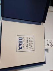 Obras maestras sobre papel: colección BBVA | 102196 | Solana, Guillermo