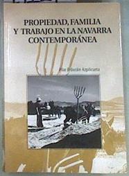 Propiedad familia y trabajo en la Navarra contemporánea | 171272 | Erdozáin Azpilicueta, Pilar