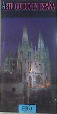 Arte gótico en España | 173445 | Reig, Mercedes/Argerich, Isabel