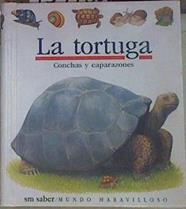 La Tortuga Conchas y caparazones | 154765 | Ilustrador Gibert Houbre/Gallimard Jeunesse/Traductora Paz Barroso