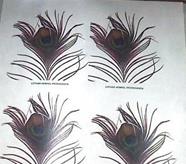 Lothar Hempel Propoganda | 170081 | Lothar Hempel