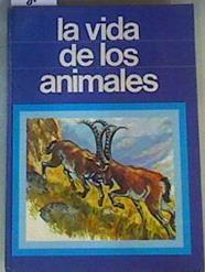 La vida de los animales Descubriendo la naturaleza | 164351 | Sheehan, Angela