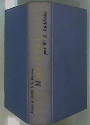 Morituri | 57012 | Lüddecke Wernwer Jörg