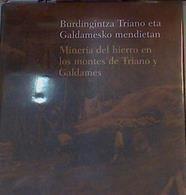 Minería del hierro en los montes de Triano y Galdames / Burdigintza Triano eta Galdamesen Mendietan | 166789 | Perez Goikoetxea, Eneko