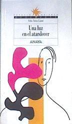 Una luz en el atardecer | 172082 | Teira Cubel, Félix