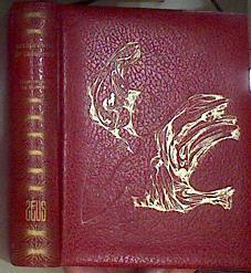 Arcipreste de Talavera Corvacho o reprobación del amor mundano | 172653 | Alfonso MARTINEZ DE TOLEDO