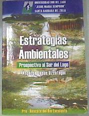 Estrategias ambientales | 176318 | Ángel De Jesús Uzcátegui