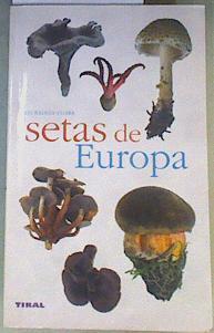 Setas de España y de Europa | 167749 | Losange