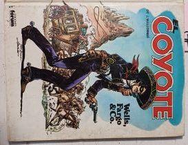 El Coyote Wells Fargo & Co. | 63321 | Mallorqui J