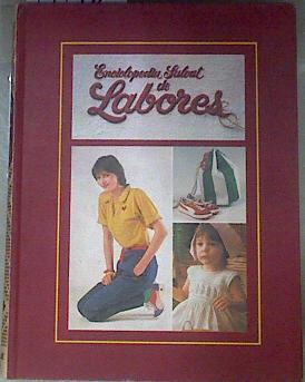 Enciclopedia Salvat de labores Tomo 4 | 171472 | VVAA