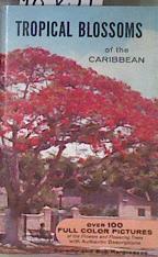 Tropical Blossoms of the Caribbean | 183251 | Dorothy Hargreaves