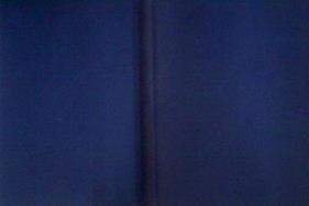 Camilo Torres El Cura Que Murió En Las Guerrillas. | 42526 | Torres, Camilo