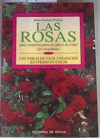 Las rosas | 169781 | Furlani Pedoja, Anna