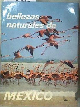 Bellezas Naturales de México | 181227 | Gallina, María Pía