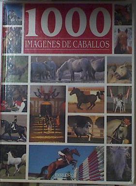 1000  mil imagenes de caballos | 122543 | Bertrand Leclair