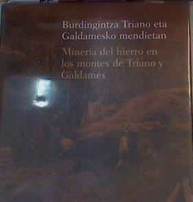 Minería del hierro en los montes de Triano y Galdames / Burdigintza Triano eta Galdamesen Mendietan | 166789 | Perez Goikoetxea, Eneko