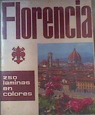 FLORENCIA CUNA DE LAS ARTES ITALIANAS 250 láminas en colores | 162739 | Loretta Santini