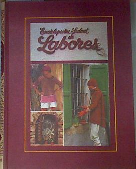 Enciclopedia Salvat de labores Tomo 3 | 171471 | VVAA