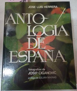 Antología De España | 41576 | Herrera, José Luis