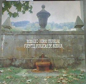 Fuentes Públicas de Bizkaia Bizkaiko Herri Iturriak | 169442 | Casanovas, Teresa Coordinación general))