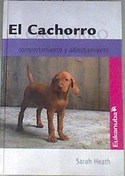 El cachorro Comportamiento y adiestramiento | 169390 | Sarah Heath