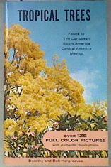 Tropical Trees Found in the Caribbean South America Mexico | 181311 | Dorothy Hargreaves