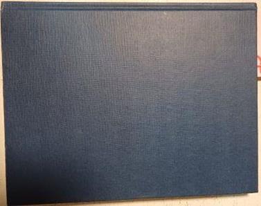 Treasures Of The Medici | 54821 | Filippo Tuena, Massinelli Anna Maria