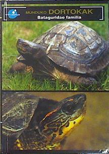 Munduko dortokak : Batagundae familia | 139566 | Pérez, Fernando Pedro (1963- )