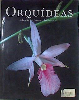 Orquideas | 171919 | Michel Paul