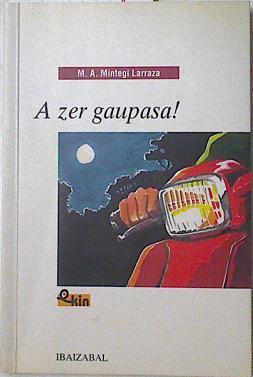 A zer gaupasa! | 123408 | Mintegi Larraza, Miguel A.