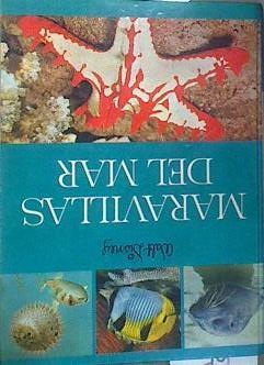 Maravillas del mar | 176668 | Walt Disney