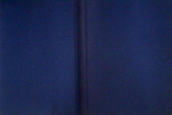 Camilo Torres El Cura Que Murió En Las Guerrillas. | 42526 | Torres, Camilo