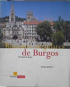 Rincones singulares de Burgos XI: CIUDAD DE BURGOS | 145707 | Enrique del Rivero