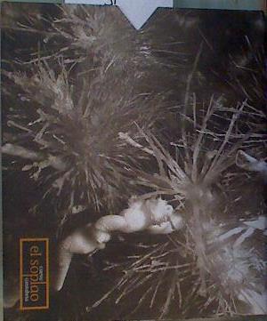 El soplao Una cavidad única Cantabria | 168247 | Colina Bruzual, Juan