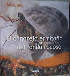 El cangrejo ermitaño y otras criaturas del fondo rocoso | 168393 | Morgan, Sally