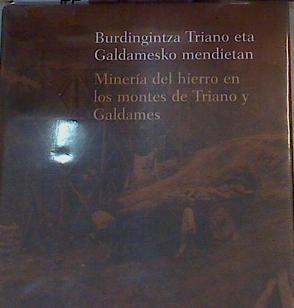 Minería del hierro en los montes de Triano y Galdames / Burdigintza Triano eta Galdamesen Mendietan | 166789 | Perez Goikoetxea, Eneko